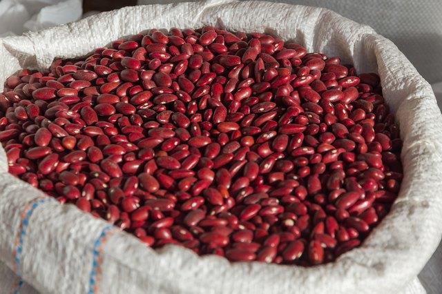 Gewichtsverlust und rote Nierenbohnen Gewichtsverlust und rote Nierenbohnen