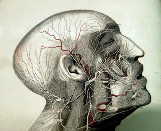 Hirntumor Frühsymptome Hirntumor Frühsymptome