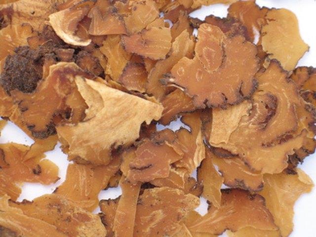 Was macht Ginseng mit meinen Körperteilen? Was macht Ginseng mit meinen Körperteilen?