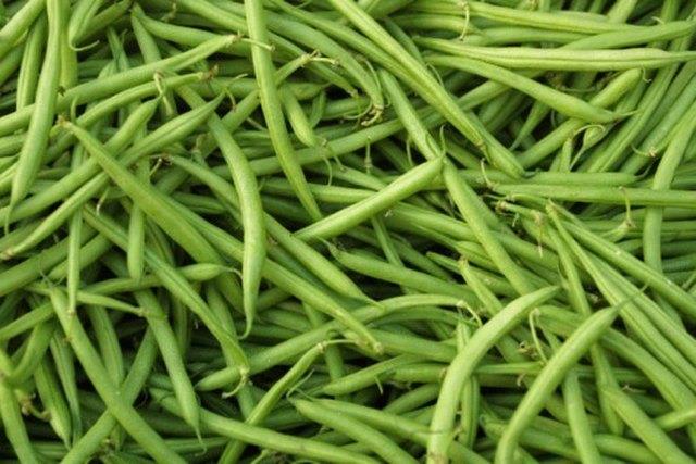 Machen Sie Ahead Green Bean Casserole Machen Sie Ahead Green Bean Casserole