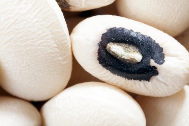 Wie man getrocknete Black Eyed Peas kocht Wie man getrocknete Black Eyed Peas kocht