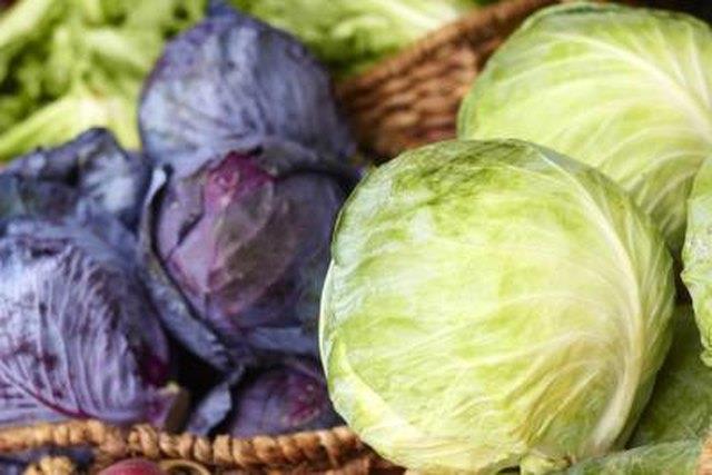Was sind die gesundheitlichen Vorteile von Rotkohl vs. Grünkohl? Was sind die gesundheitlichen Vorteile von Rotkohl vs. Grünkohl?