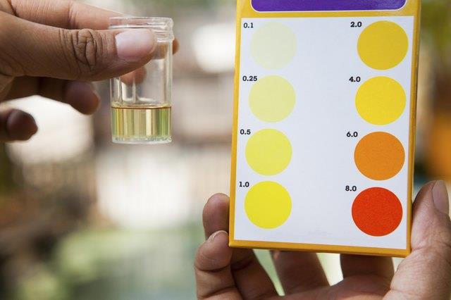 So testen Sie den pH-Wert in Trinkwasser So testen Sie den pH-Wert in Trinkwasser